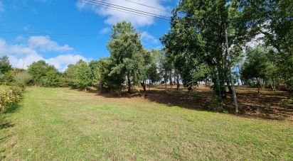 Land in Poiares (Santo André) of 4,800 m²