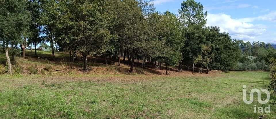 Land in Poiares (Santo André) of 4,800 m²