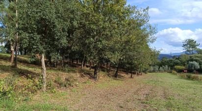 Land in Poiares (Santo André) of 4,800 m²