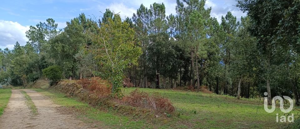 Land in Poiares (Santo André) of 4,800 m²