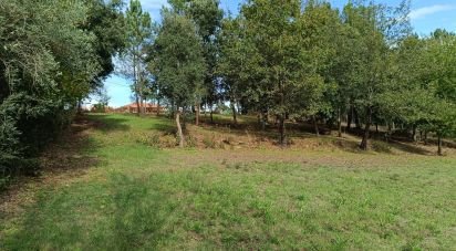 Land in Poiares (Santo André) of 4,800 m²