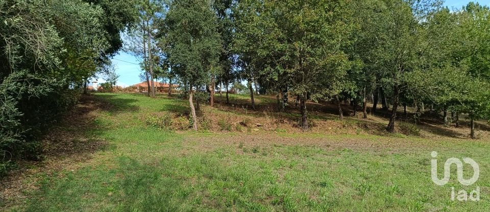 Land in Poiares (Santo André) of 4,800 m²