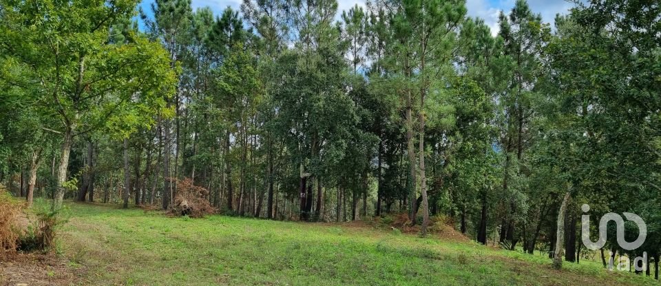 Land in Poiares (Santo André) of 4,800 m²