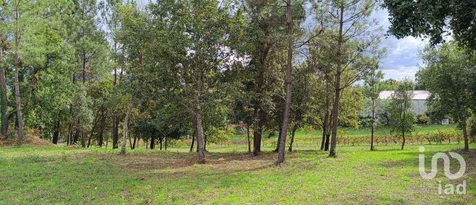 Land in Poiares (Santo André) of 4,800 m²