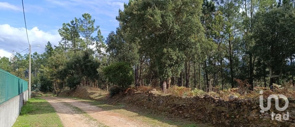 Terrain à Poiares (Santo André) de 4 800 m²