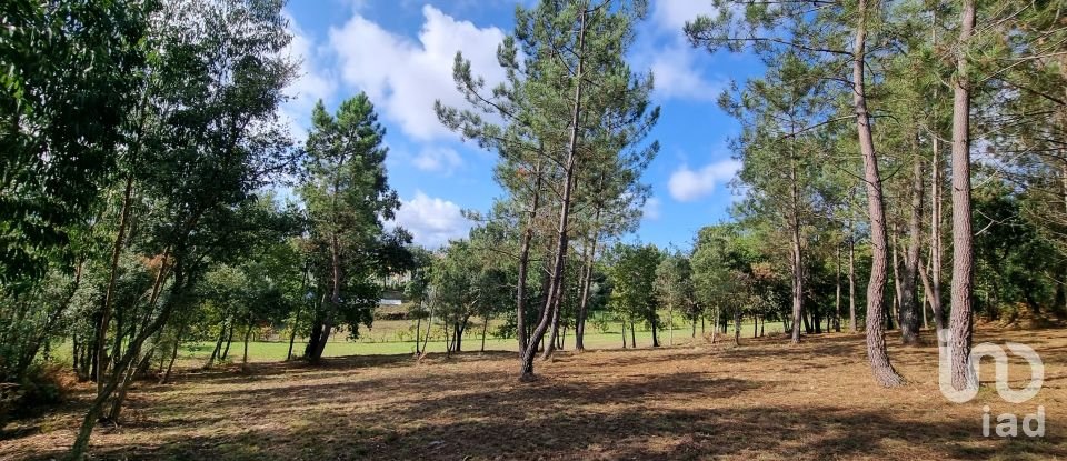 Land in Poiares (Santo André) of 4,800 m²