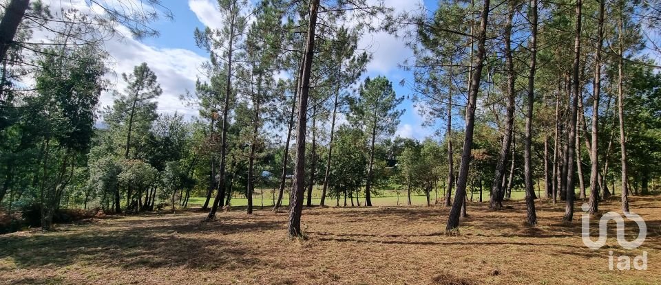 Land in Poiares (Santo André) of 4,800 m²