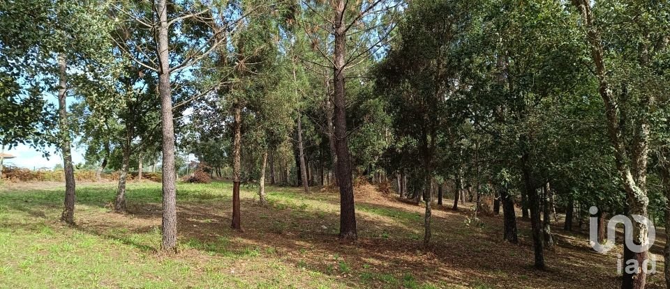 Land in Poiares (Santo André) of 4,800 m²