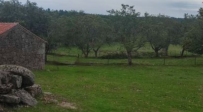 Terreno em Peva e Segões de 4 030 m²