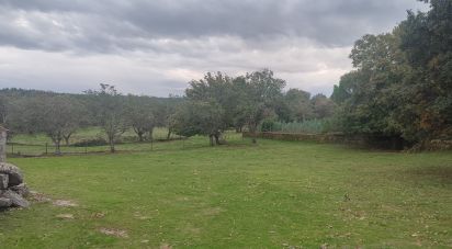 Terreno em Peva e Segões de 4 030 m²