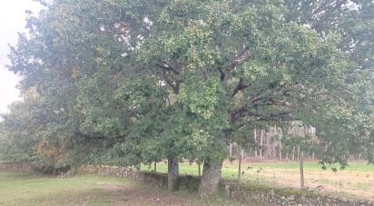 Terreno em Peva e Segões de 4 030 m²