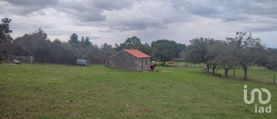 Terreno em Peva e Segões de 4 030 m²