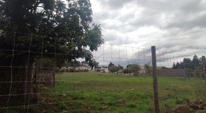 Terreno em Peva e Segões de 16 450 m²