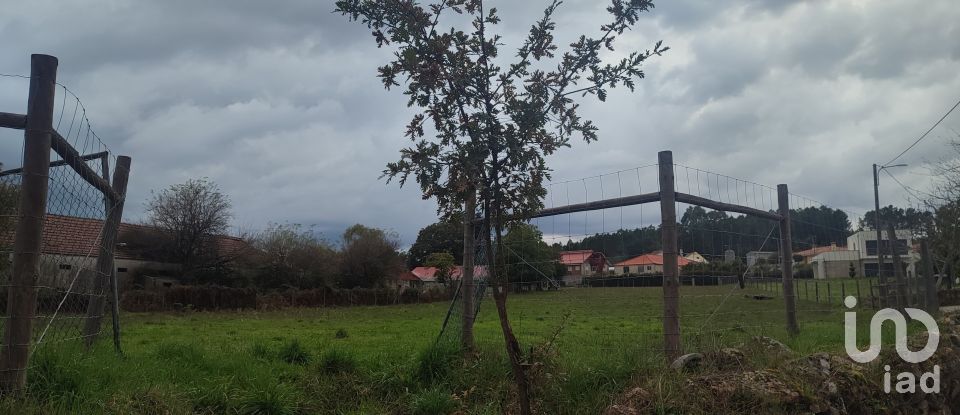 Terreno em Peva e Segões de 16 450 m²