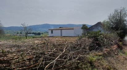 Casa de aldeia T0 em Lamas e Cercal de 52 m²