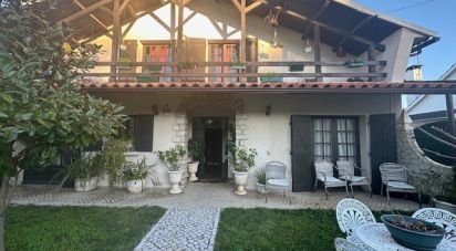 Traditional house T3 in Santa Catarina da Serra e Chainça of 112 m²