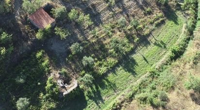 Terreno em Freixo de Espada à Cinta e Mazouco de 320 000 m²