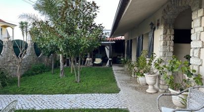 Traditional house T3 in Santa Catarina da Serra e Chainça of 112 m²