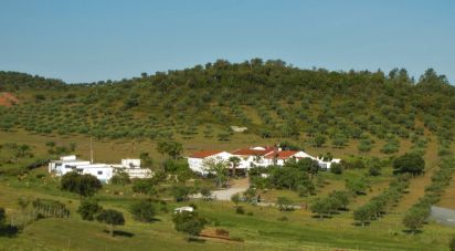 Farm T3 in Amieira E Alqueva of 322 m²