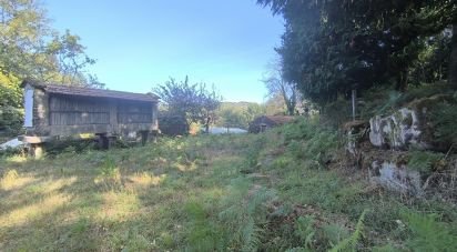 Building land in Rossas of 3,186 m²