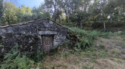 Terreno para construção em Ruivães e Campos de 3 186 m²