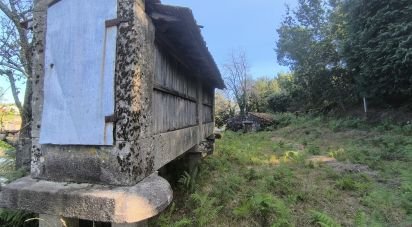 Terreno para construção em Ruivães e Campos de 3 186 m²