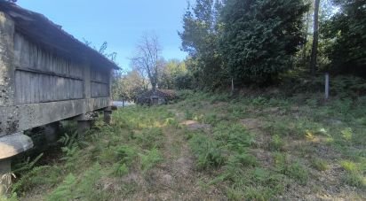 Building land in Rossas of 3,186 m²