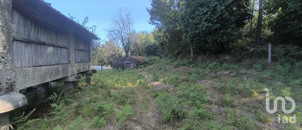 Building land in Rossas of 3,186 m²