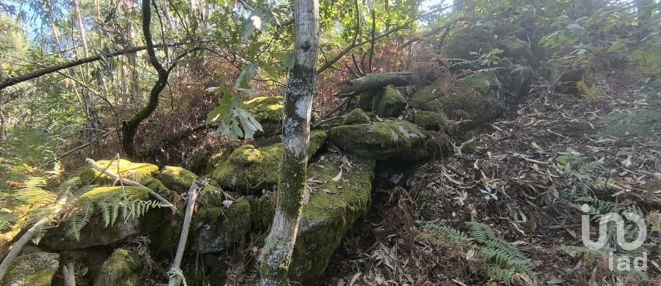 Terreno para construção em Rossas de 3 186 m²