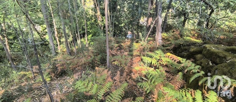 Terreno para construção em Ruivães e Campos de 3 186 m²