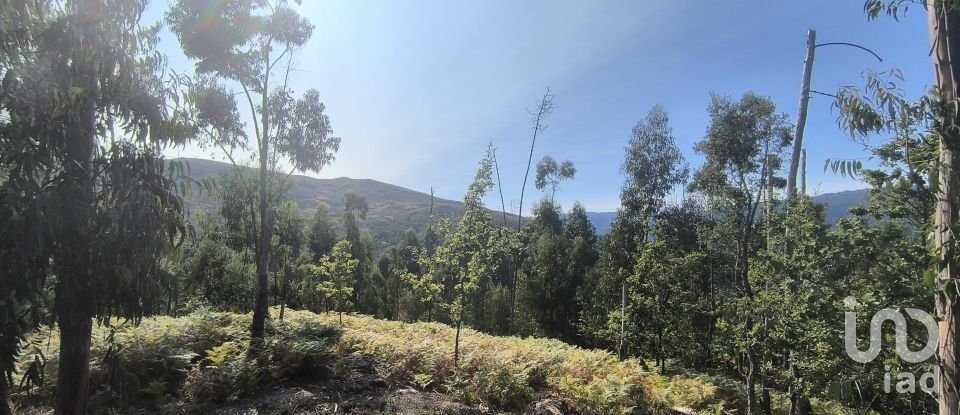 Building land in Ruivães e Campos of 3,186 m²