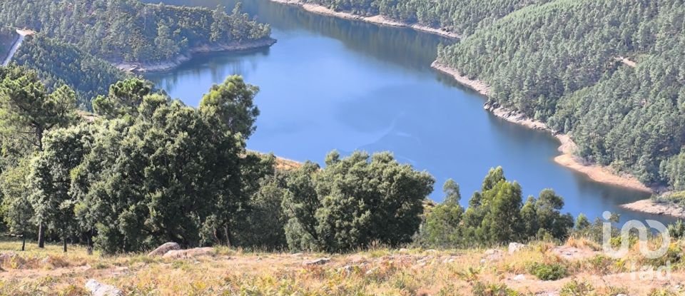 Terreno para construção em Ruivães e Campos de 3 186 m²