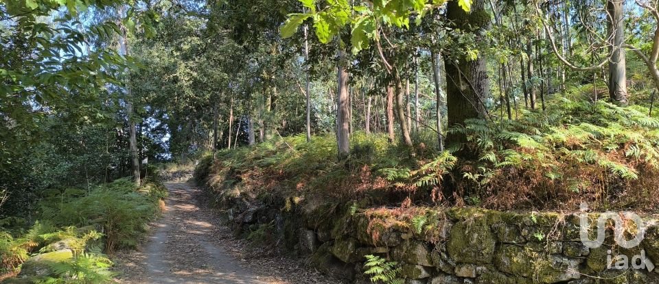 Terreno para construção em Ruivães e Campos de 3 186 m²