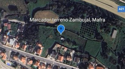 Land in Mafra of 3,678 m²