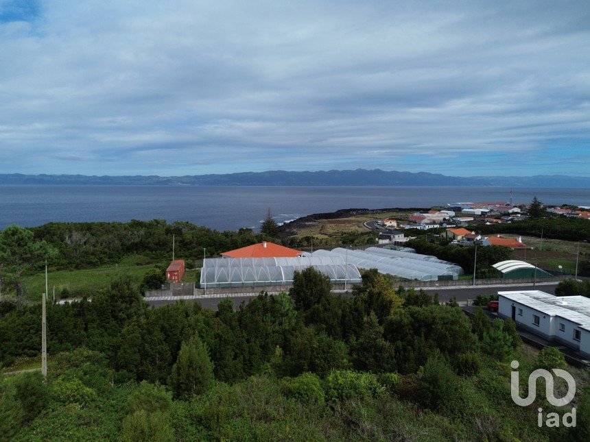 Terrain à Santo António de 497 m²