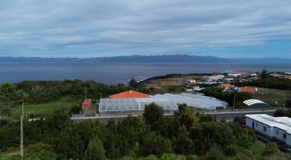 Terreno em Santo António de 497 m²