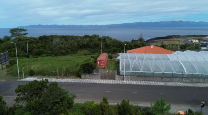 Terreno em Santo António de 497 m²