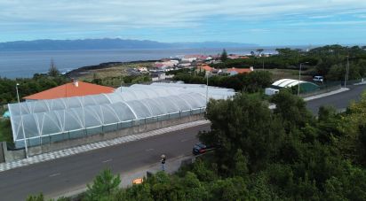 Land in Santo António of 497 m²