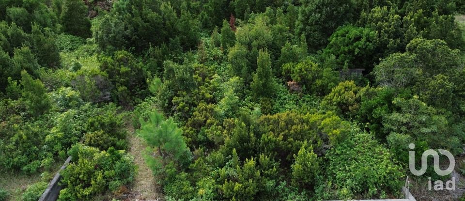 Terreno em Santo António de 497 m²