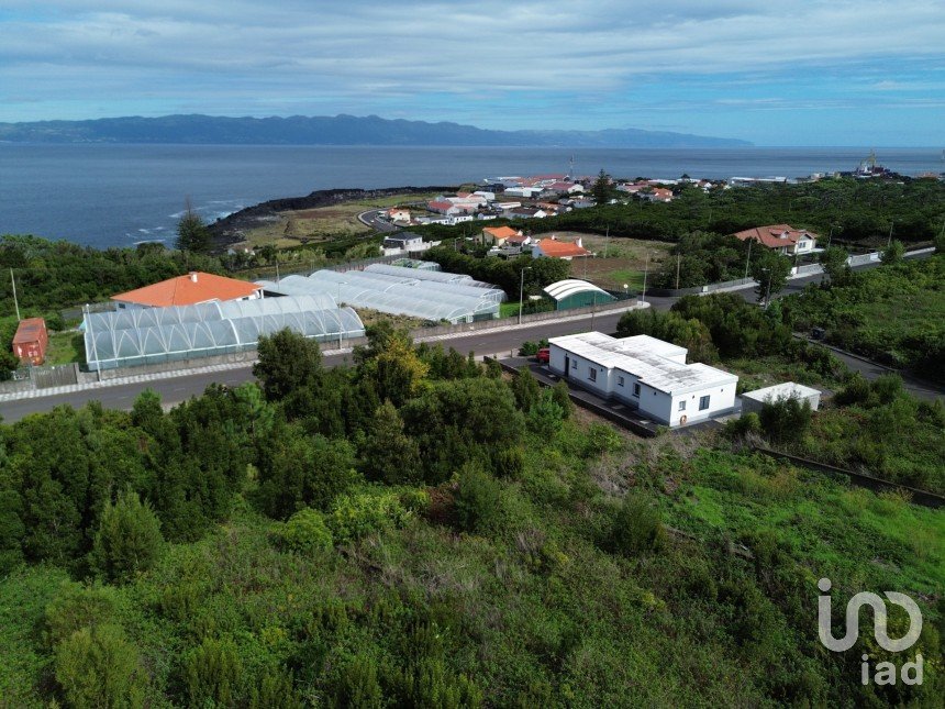 Terrain à Santo António de 552 m²