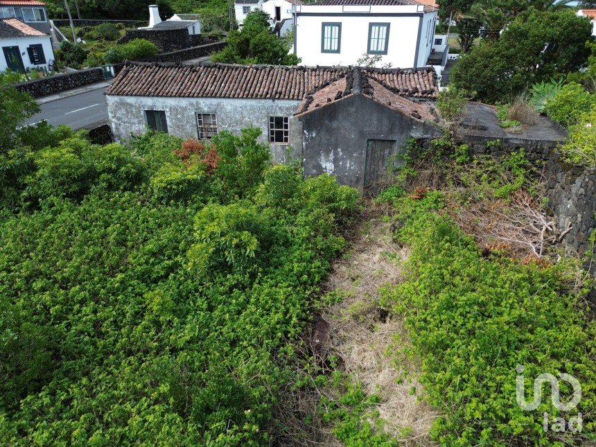 Casa tradicional T1 em Santo António de 83 m²