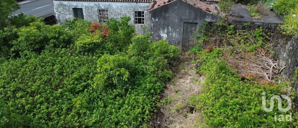 Casa tradicional T1 em Santo António de 83 m²