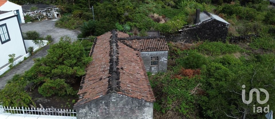 Casa tradicional T1 em Santo António de 83 m²