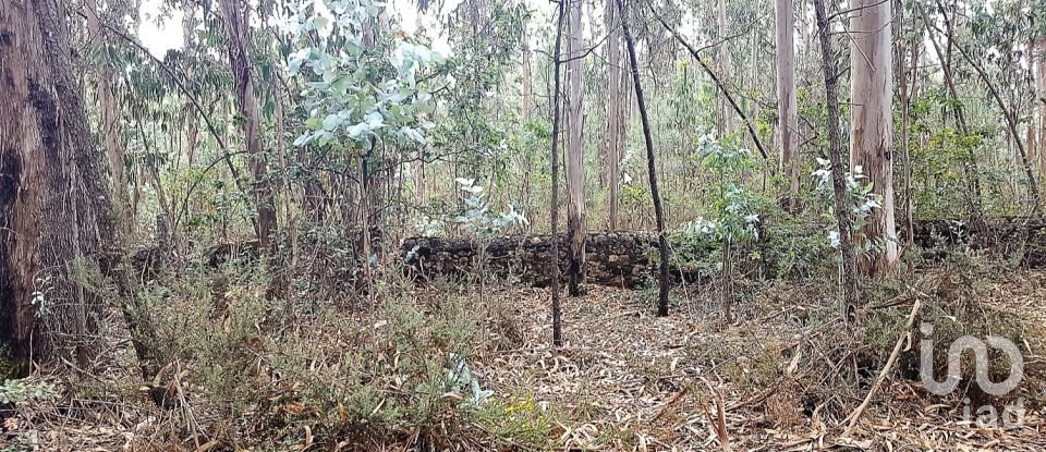 Land in Bagunte, Ferreiró, Outeiro Maior e Parada of 26,000 m²