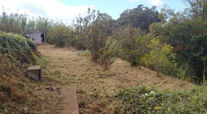 Terreno em Gaula de 660 m²