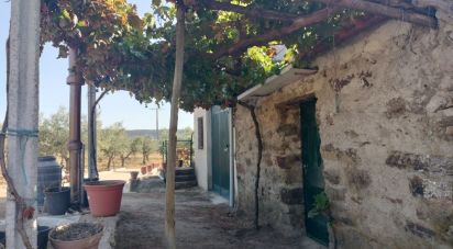 Terreno Agrícola em Freixo de Espada à Cinta e Mazouco de 36 418 m²