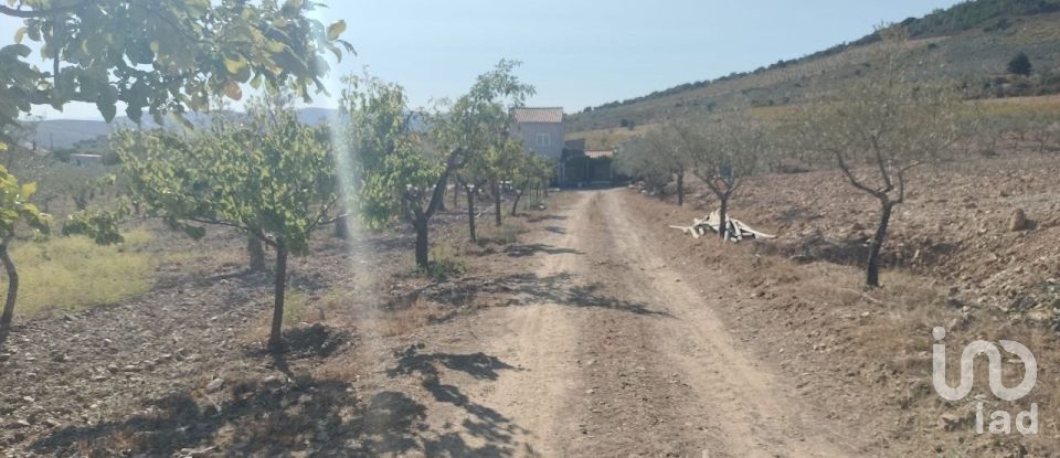 Terreno Agrícola em Freixo de Espada à Cinta e Mazouco de 36 418 m²