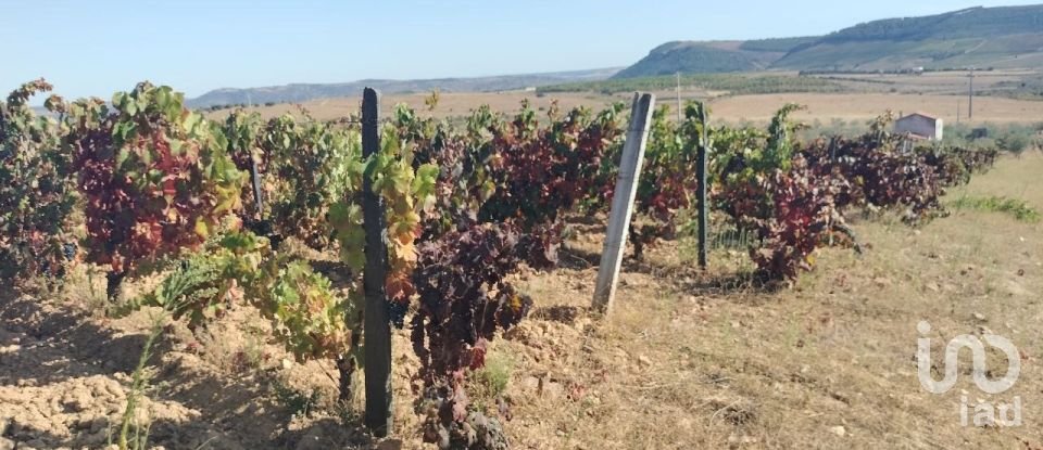 Terreno Agrícola em Freixo de Espada à Cinta e Mazouco de 36 418 m²