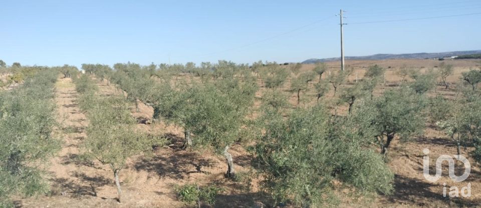 Terreno Agrícola em Freixo de Espada à Cinta e Mazouco de 36 418 m²