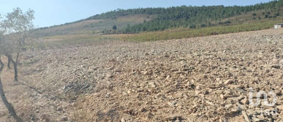 Agricultural land in Freixo de Espada à Cinta e Mazouco of 36,418 m²